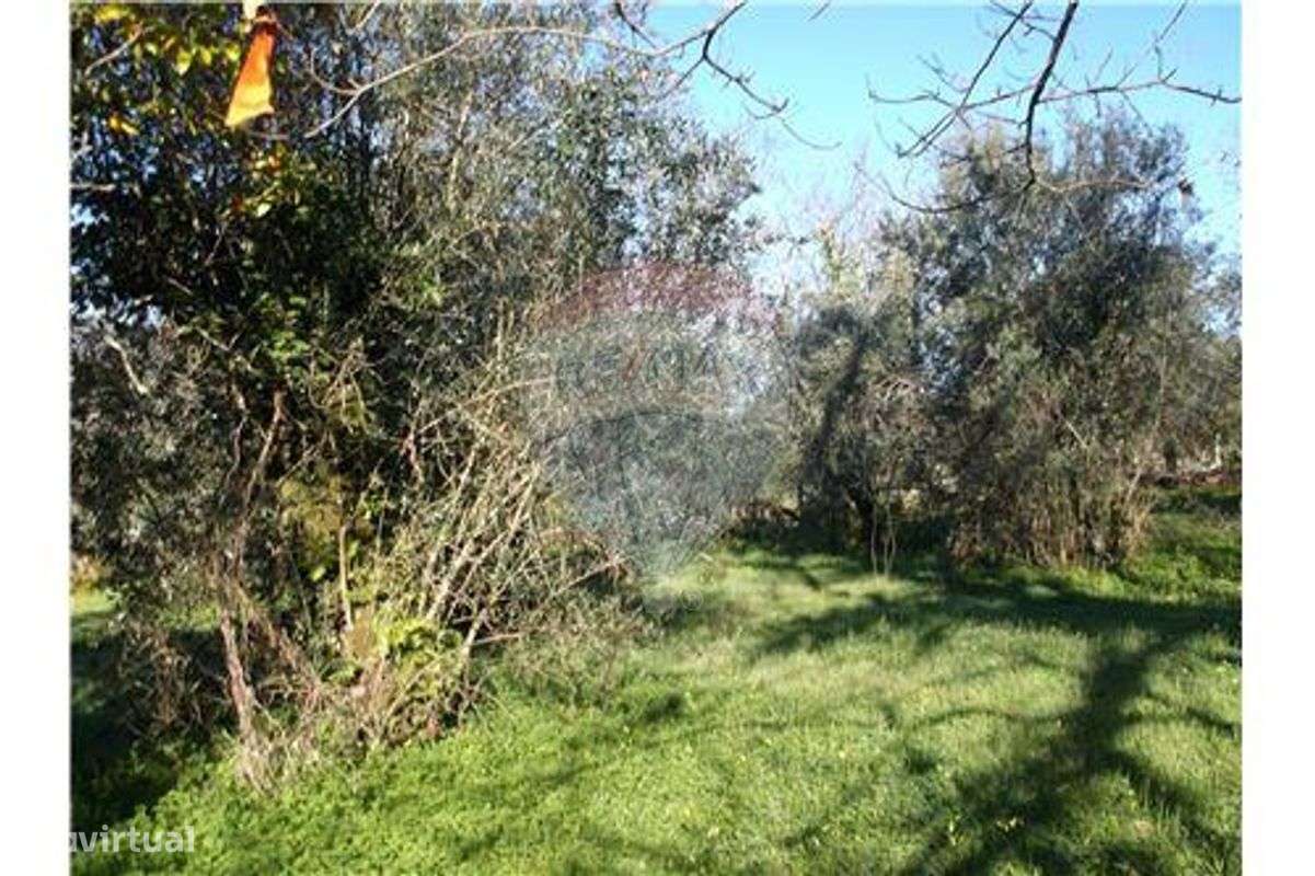 Moradia para recuperação-6