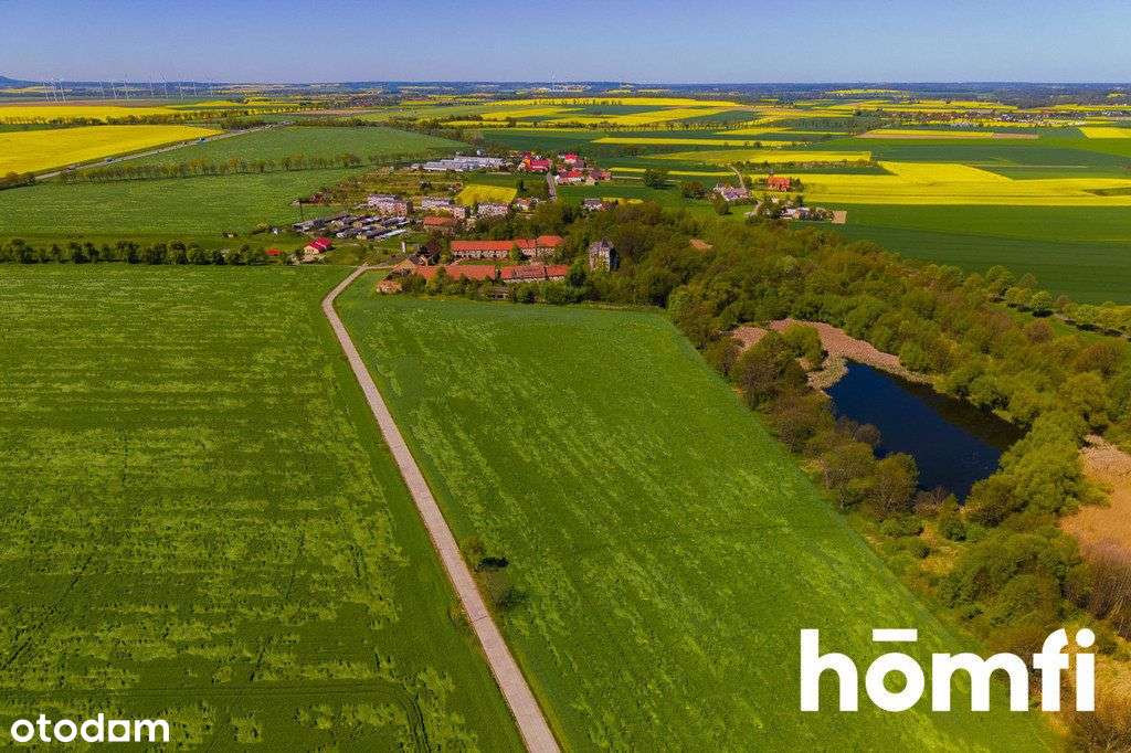 Zespół folwarczno-pałacowy na 17ha gruncie - Pełny obrazek: 5/12