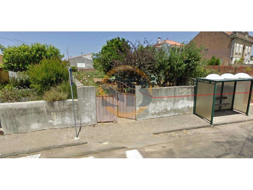 Vende se Terreno São João Ovar - Grande imagem: 2/6