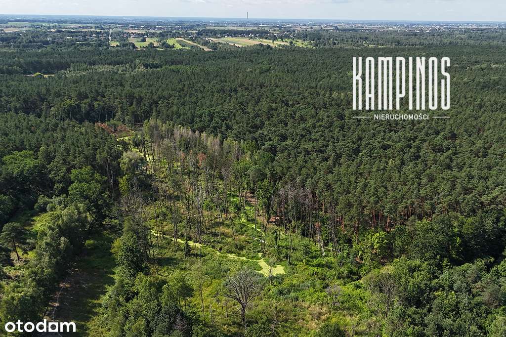 Unikalna działka budowlana przy KPN - Pełny obrazek: 4/6