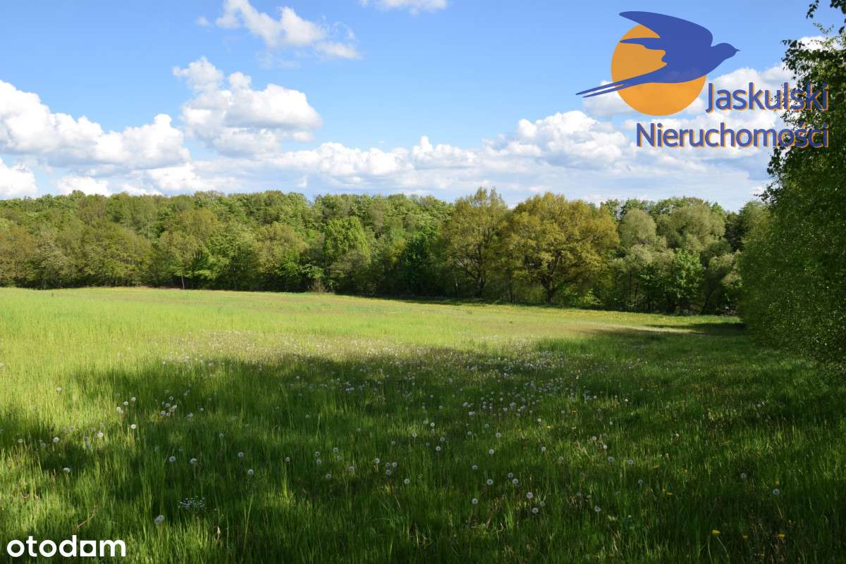 Działka rolna z możliwością zabudowy - Pełny obrazek: 1/2