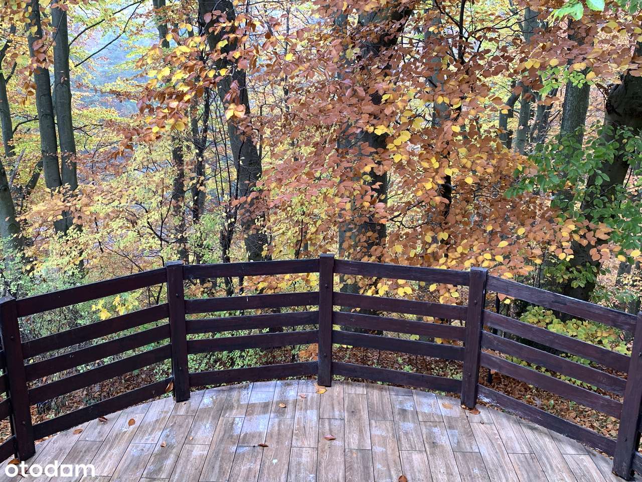 Gdynia Ten Dom jest właśnie dla Ciebie !-12