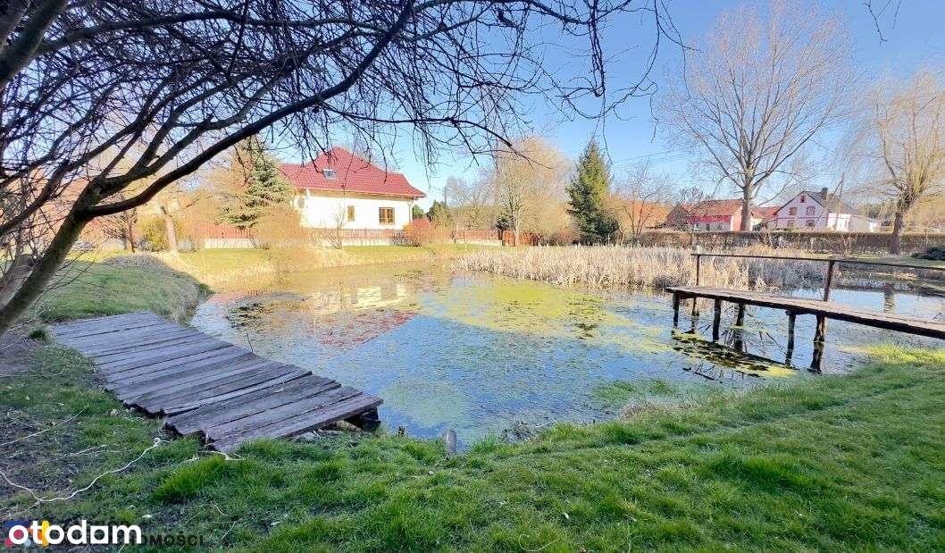 Wyjątkowa Posiadłość KRZECZYN Mieszkaniowo-Usługowa - Pełny obrazek: 5/20