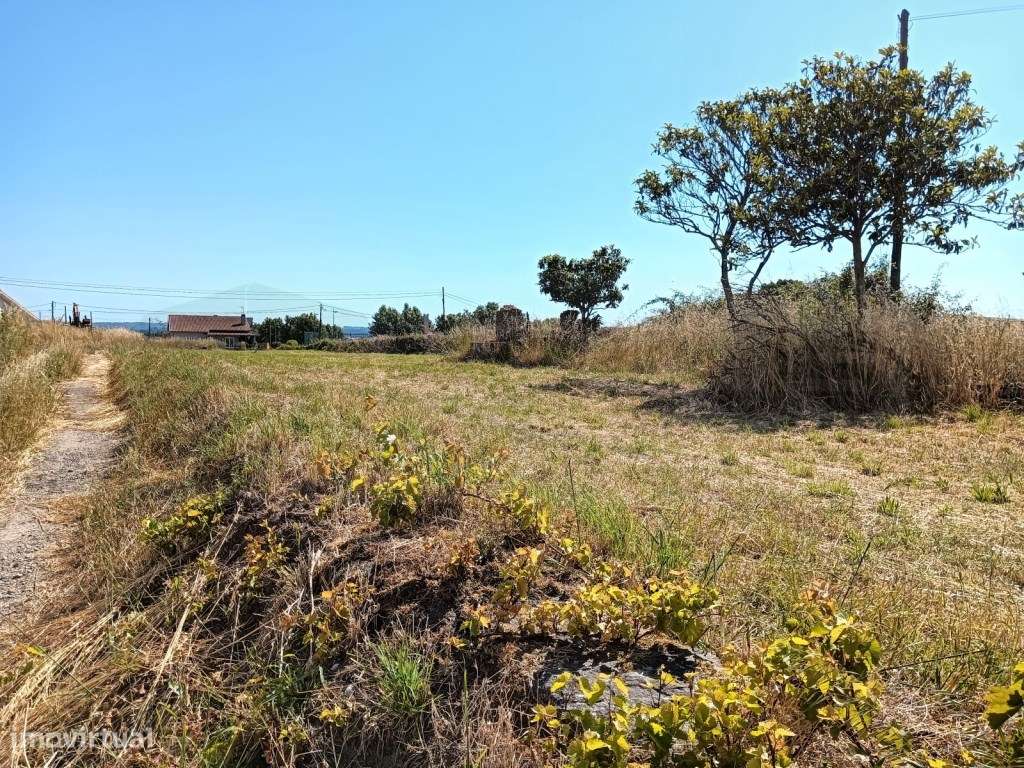 Lote de terreno Estarreja - Grande imagem: 3/8