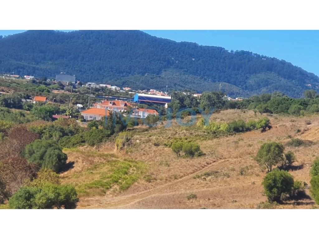 Terreno com 5360m2 em Manique de Baixo, Sintra