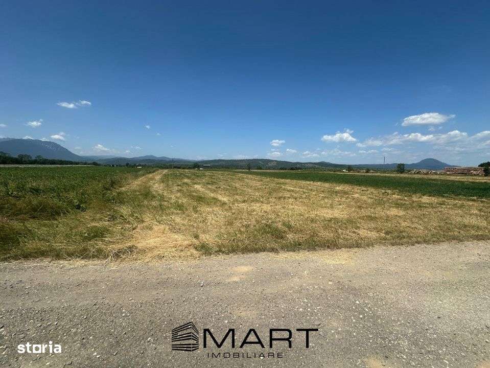 Teren 5000 mp Glajerie, zona Rasnov - Imagine principală: 5/7