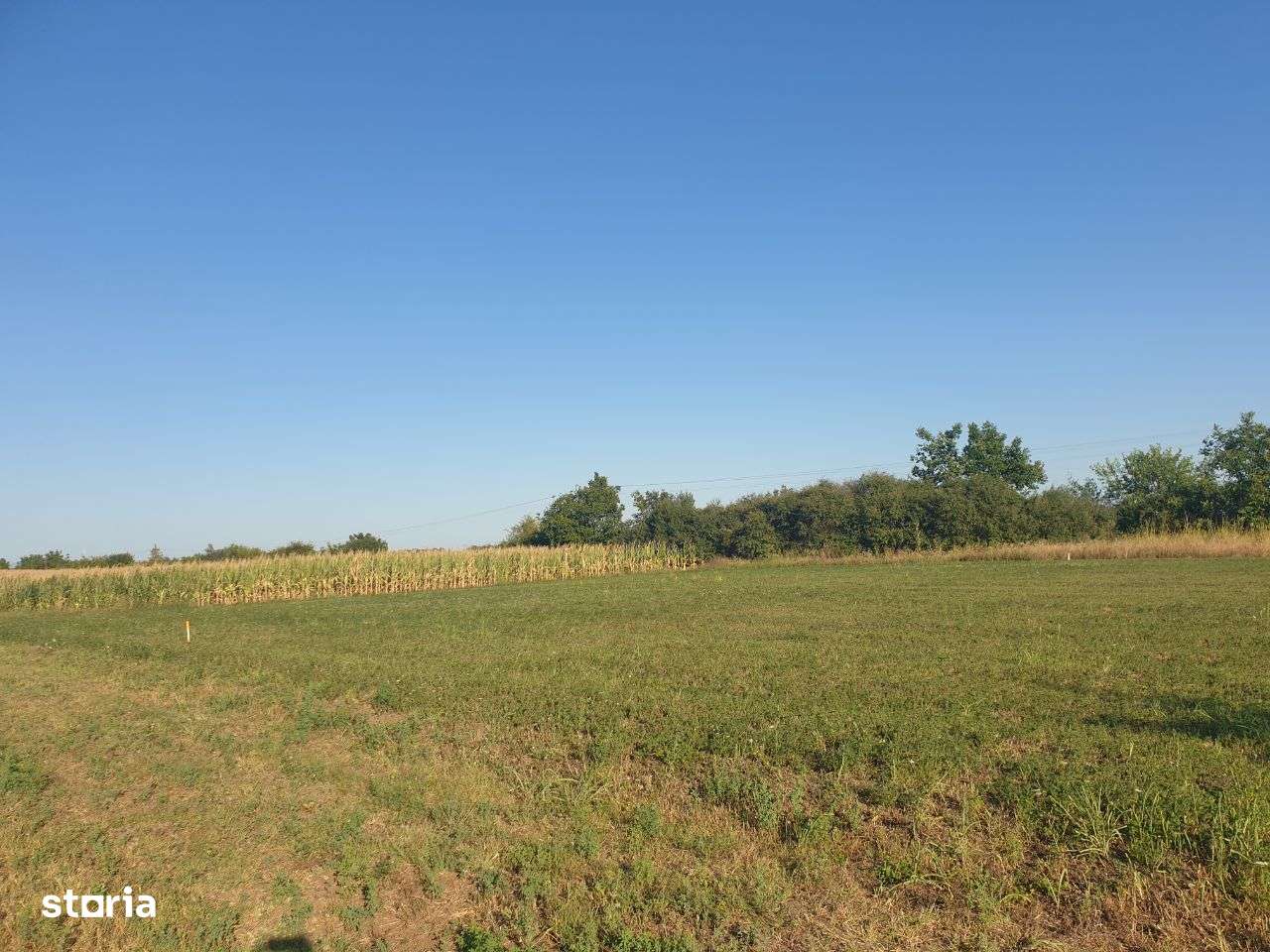 Vanzare 2 parcele de teren 720 mp. Zadareni - Bodrog la Pret Redus - Imagine principală: 3/7