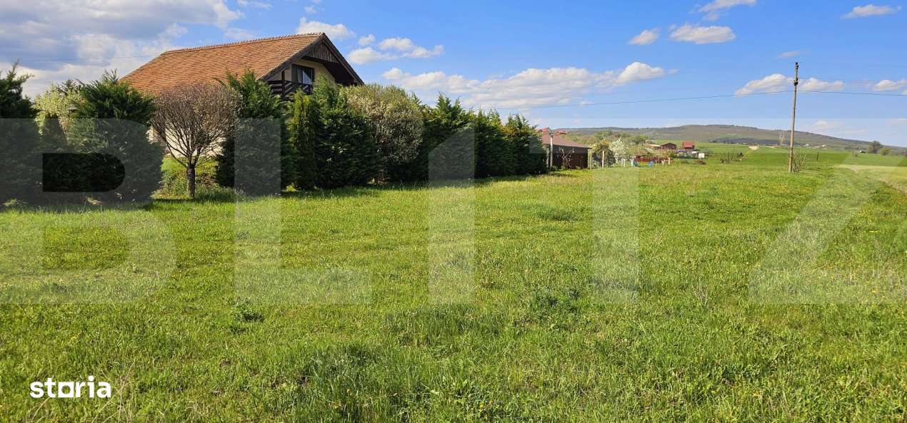 Teren intravilan 2.100 mp – Valea Crisului, la intrare in localitate - Imagine principală: 1/2