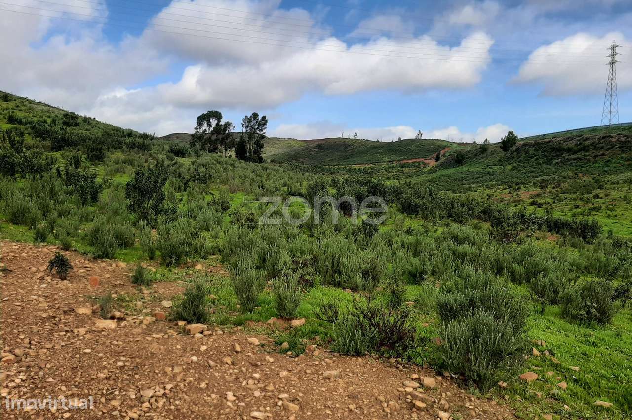 Terreno Rústico de 3 Hectares – Mexilhoeira Grande, Portimão - Grande imagem: 5/14