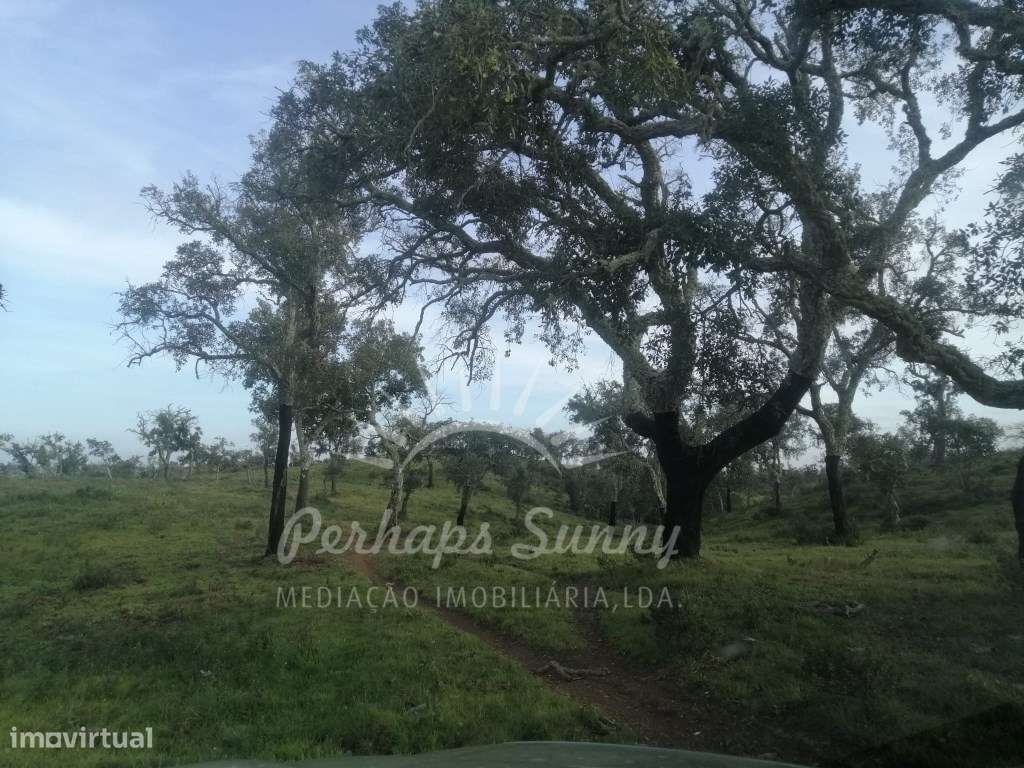 Terreno Rustico São Francisco da Serra - Grande imagem: 3/12