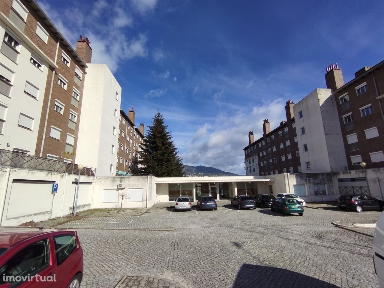 Studio - Fac. Medicina - UBI - Covilhã