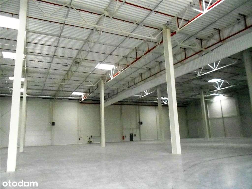 Nowa Halam Klasy A, 12000m2  z możliwością rozbudowy Zgierz-0