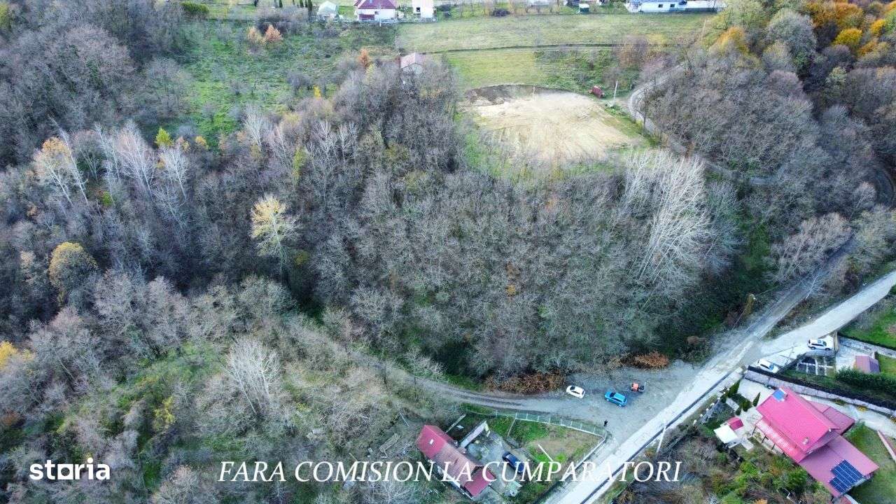 Teren Construibil, Partial Impadurit, 4726 mp Intravilan - Imagine principală: 4/10