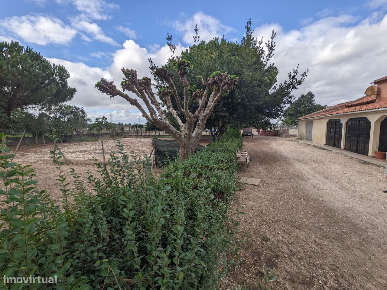 Terreno de 5.000m2 com moradia - Grande imagem: 3/16