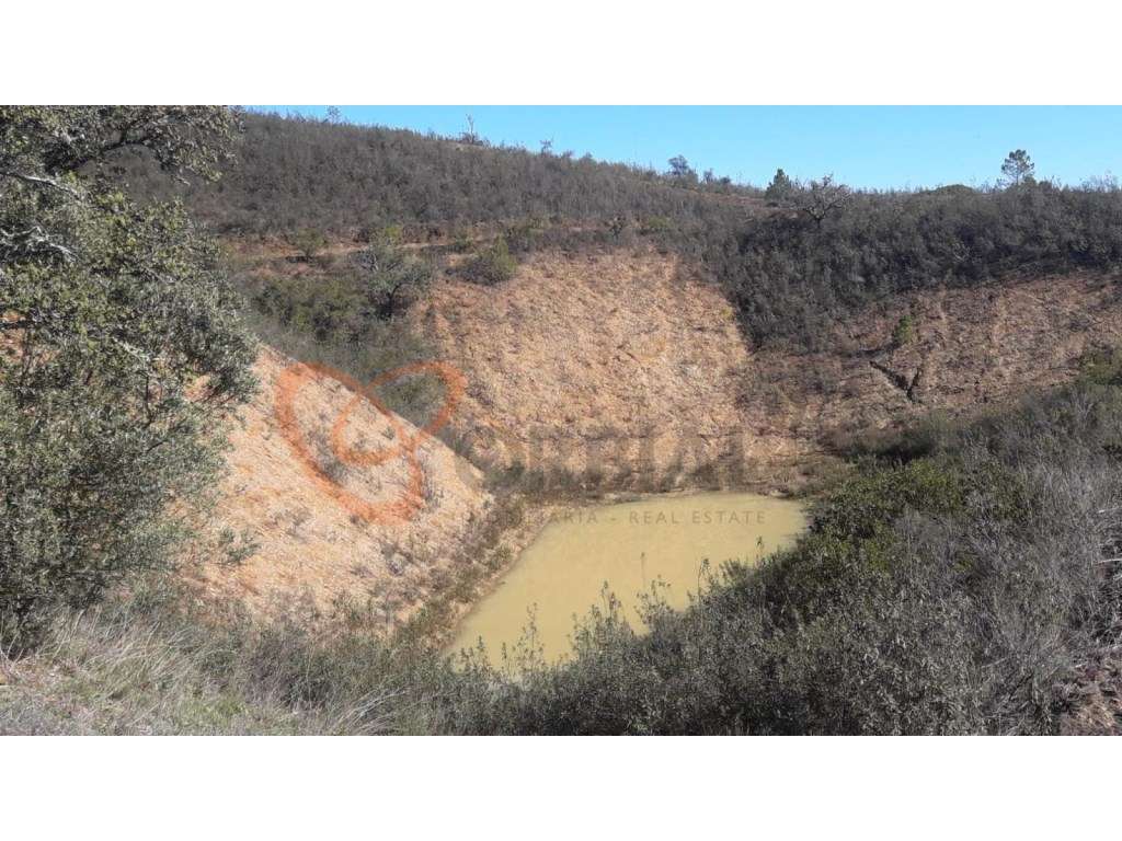 Fantástica Moradia situada no Barrocal Algarvio - Grande imagem: 5/44