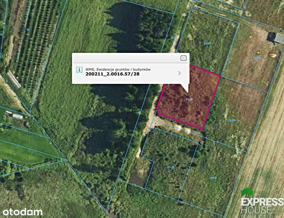 Działka pod budowę domu 1800m2 Iwanówka/podlaskie - Pełny obrazek: 4/8