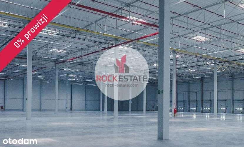 Magazyn 7500 m2 od zaraz - 0% prowizji - Pełny obrazek: 5/13