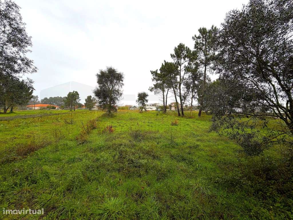 Terreno para construção de moradia - zona calma - VAGOS - Grande imagem: 5/22