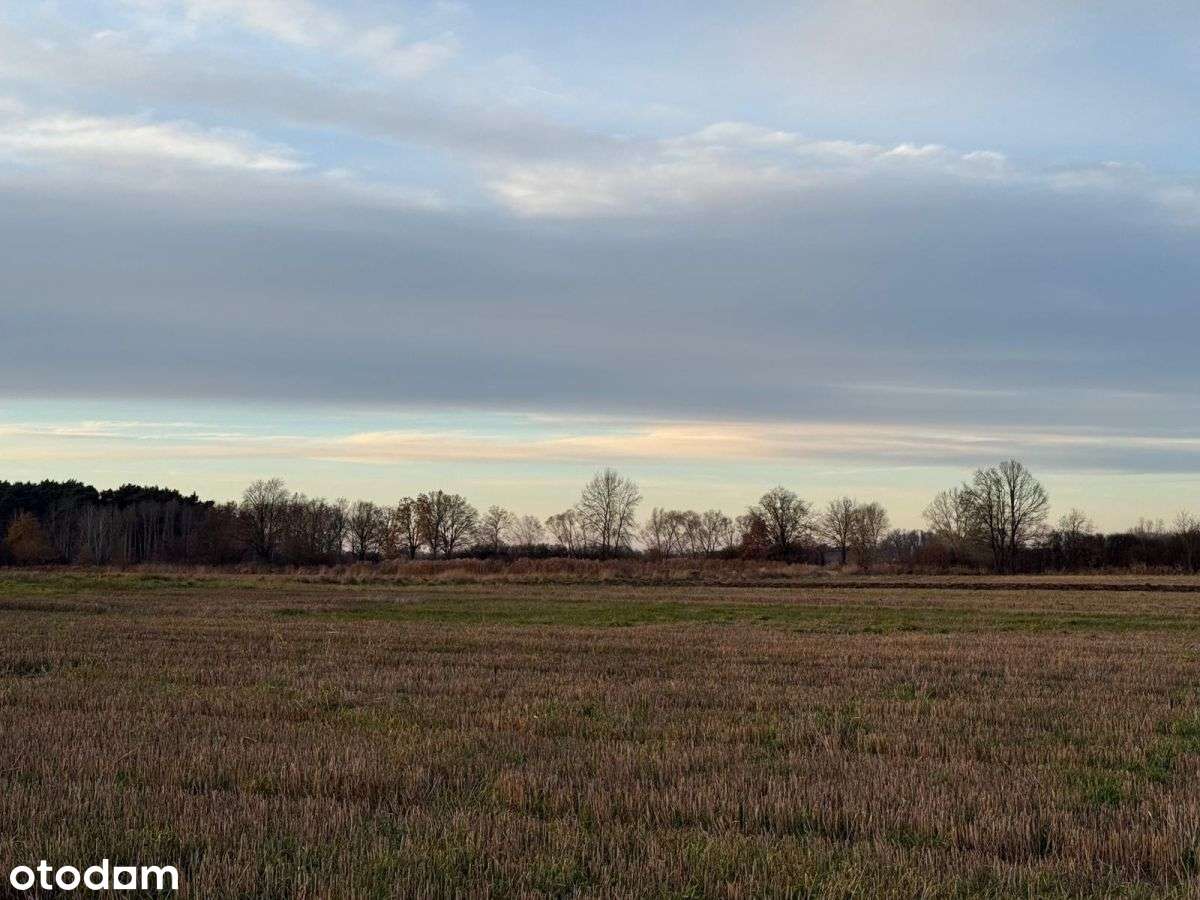 Działki rolne na sprzedaż | bliskość rzeki-15