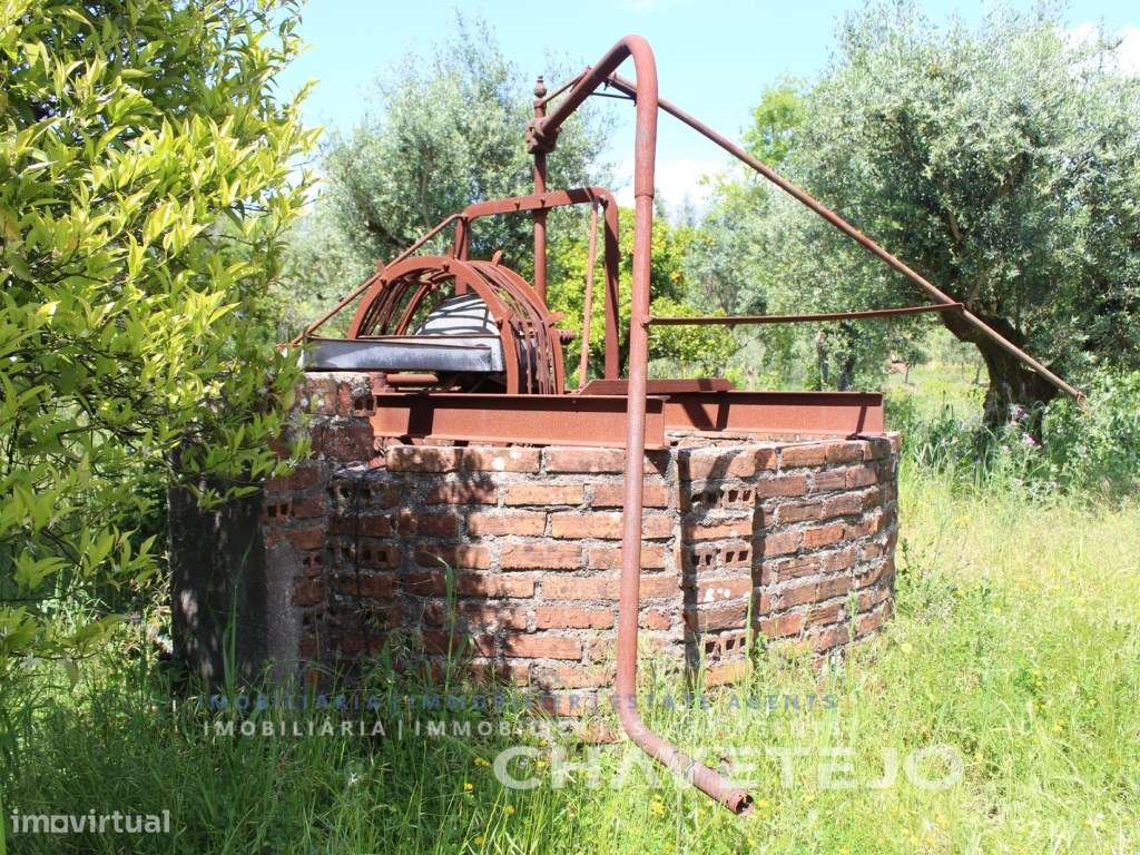 Oportunidade! Quinta com moradia, anexo e terreno próxima da Albufe...-35
