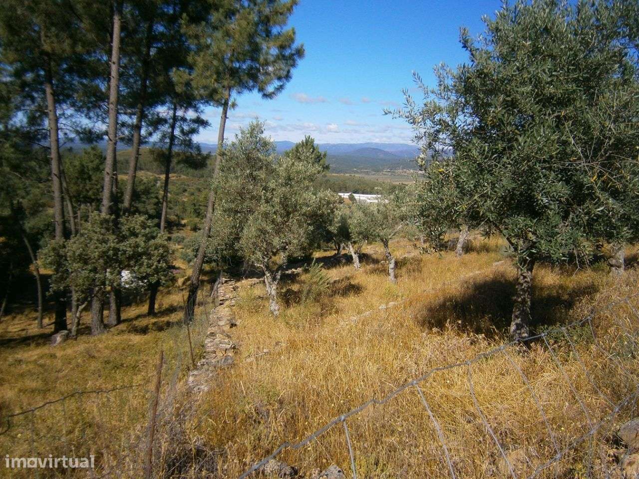 Terreno - Grande imagem: 2/8