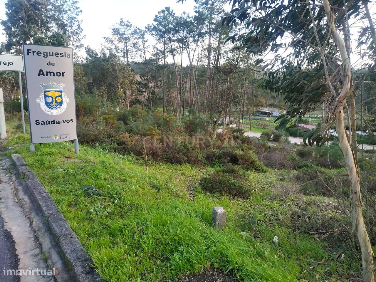 Terreno rústico || Viabilidade de construção moradias || 857m2 || Amor - Grande imagem: 4/11