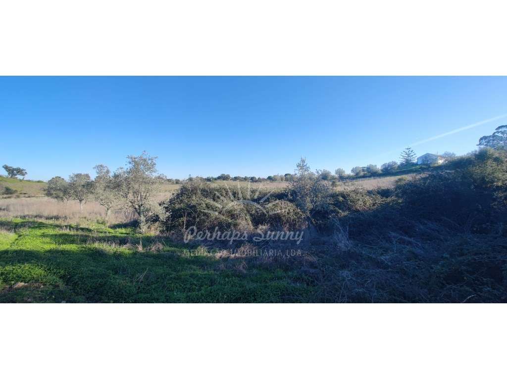 TERRENO RÚSTICO PARA VENDA - UMA OPORTUNIDADE NA SERRA DE GRÂNDOLA-16