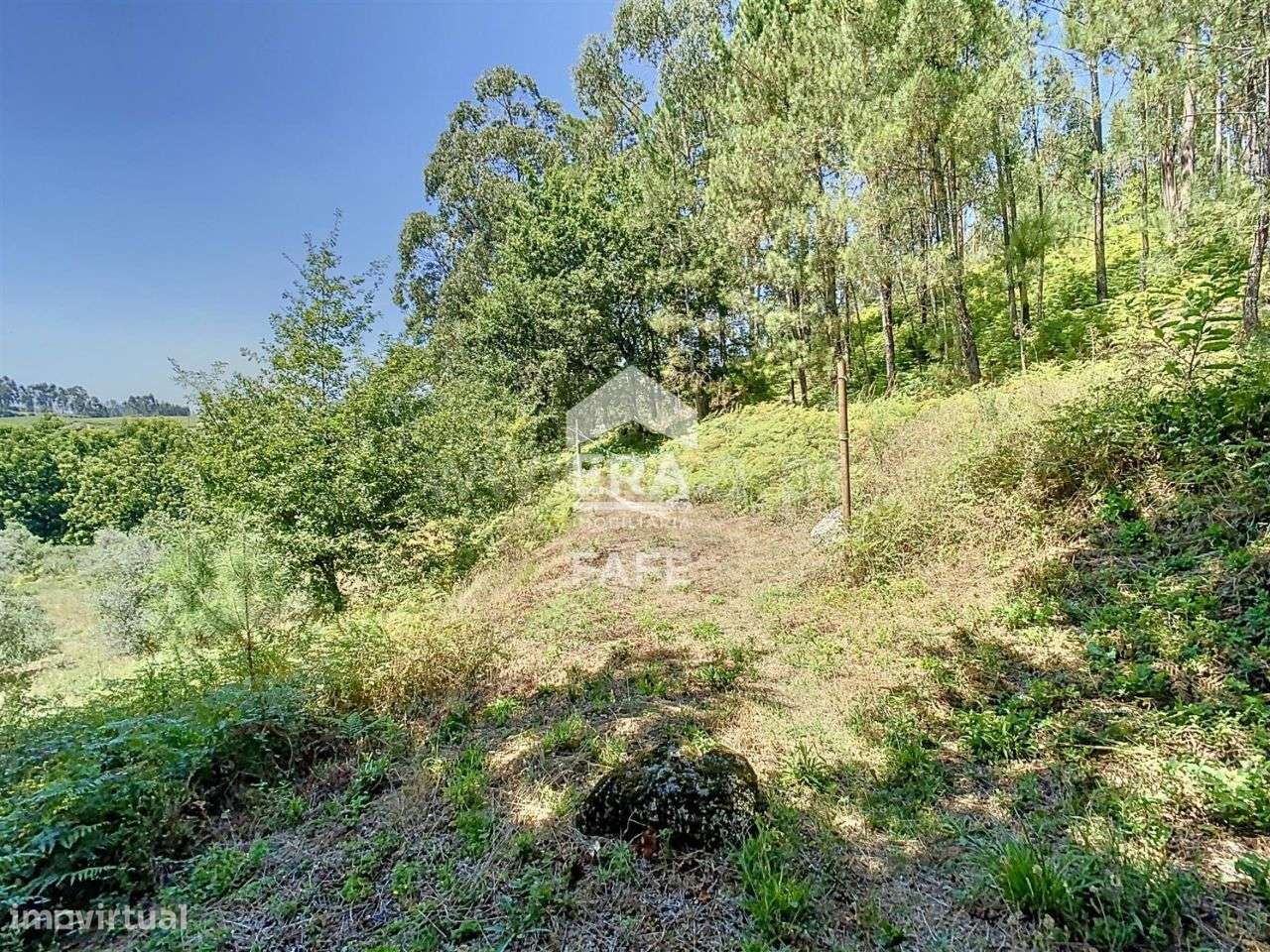 Terreno em Regadas com 3.800 m2 - Grande imagem: 4/12