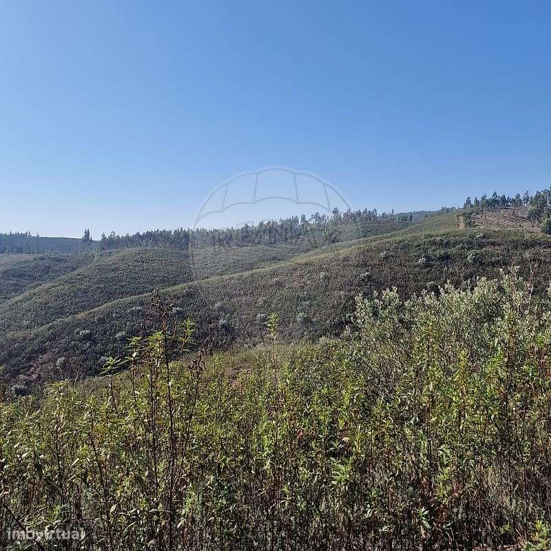 Terreno  para venda - Grande imagem: 4/10