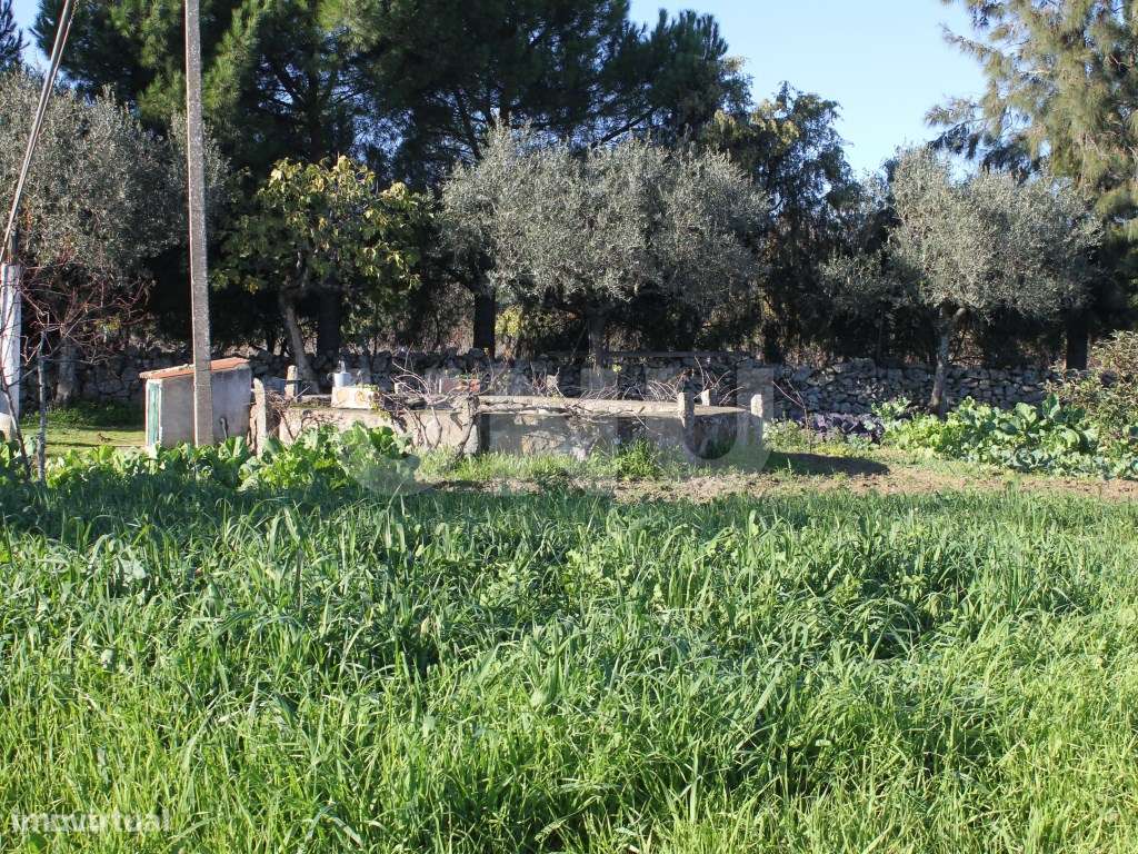 Quinta para venda em Oledo, Idanha-a-Nova, Portugal-15