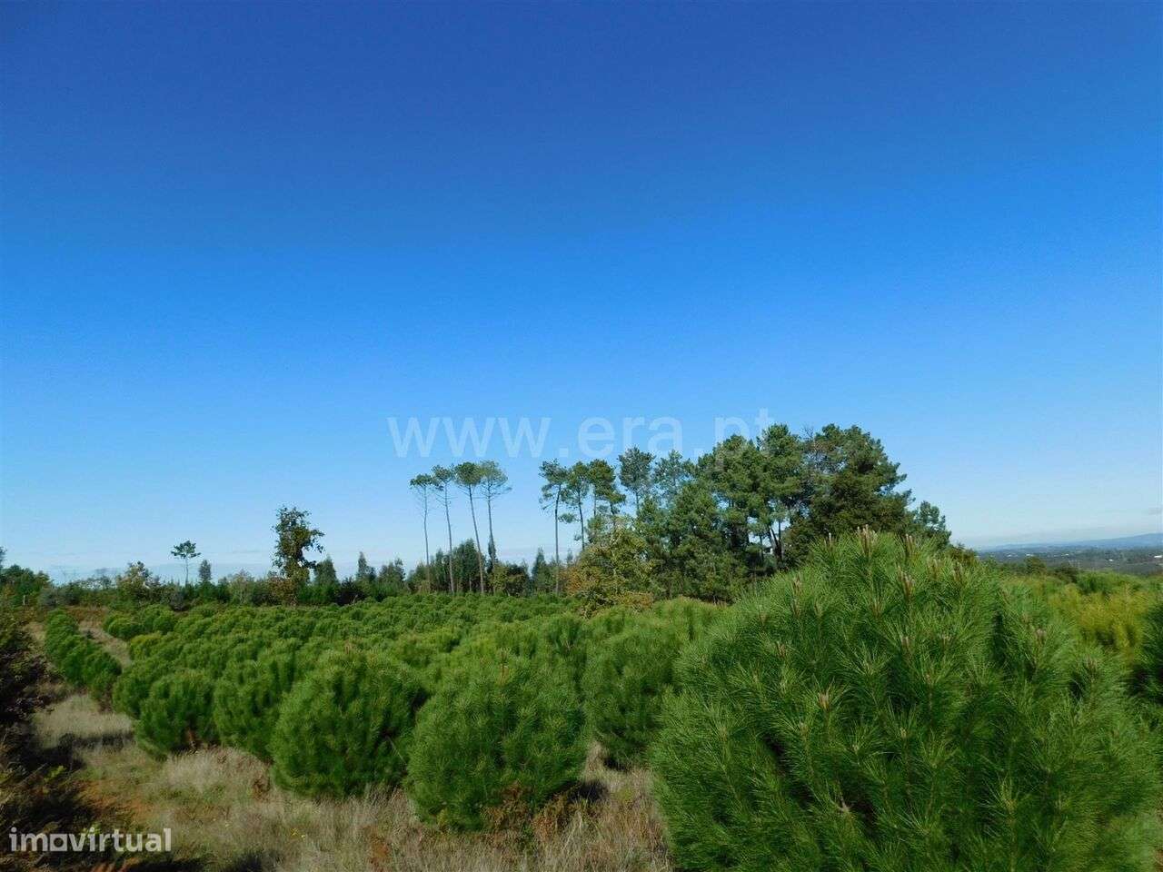 Terreno / Seia, Santiago - Grande imagem: 4/8