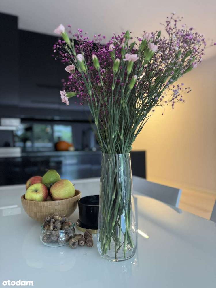 Świetne, przestronne. SUPER LIGOTA PARK! Do wejścia! 0% prowizji!-3