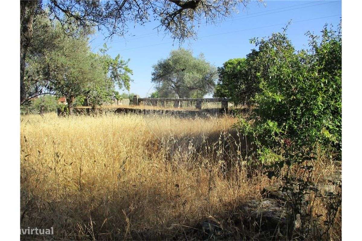 QUINTA COM 1,65 HA!!! - Grande imagem: 5/29