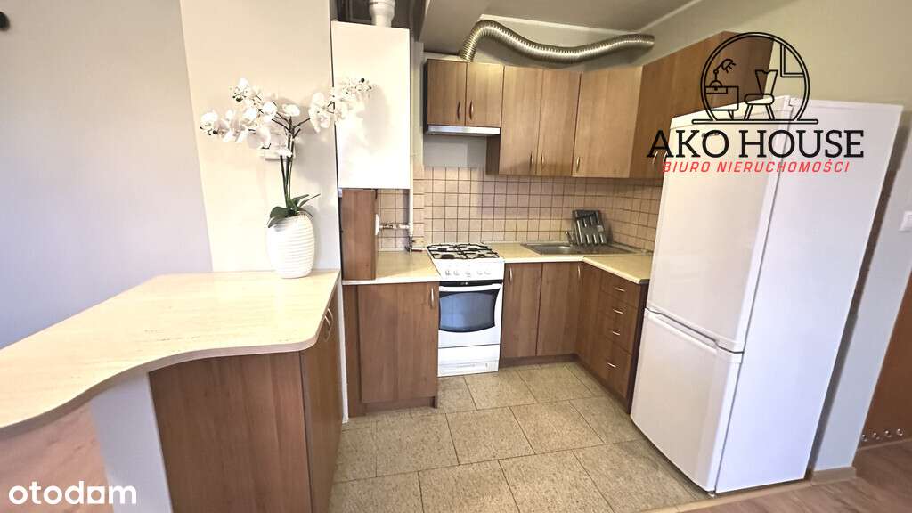 Dom 240 m² pod inwestycję – 4 lokale + 2 garaże!-19