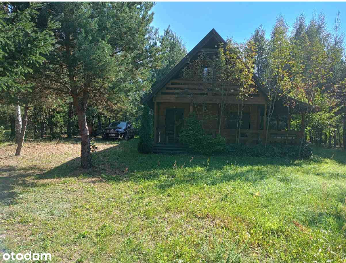 Dom całoroczny rekreacyjny 45 min od Centrum Warszawy - Pełny obrazek: 5/20