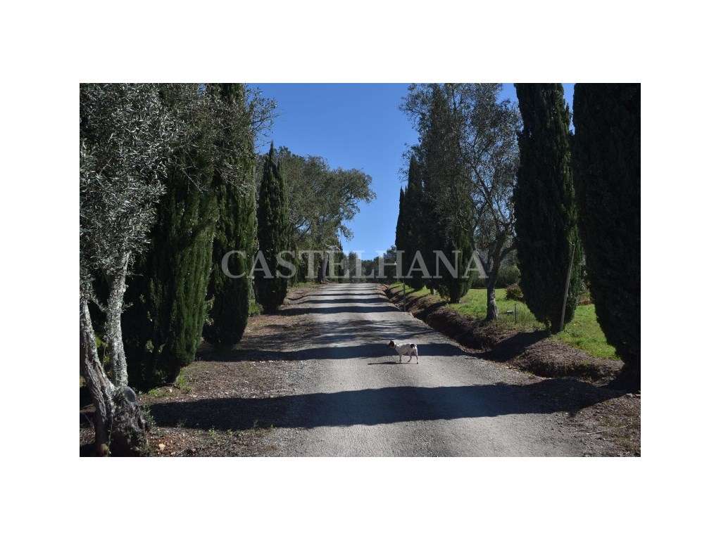 Monte em Santiago do Cacém, Setúbal - Grande imagem: 5/34