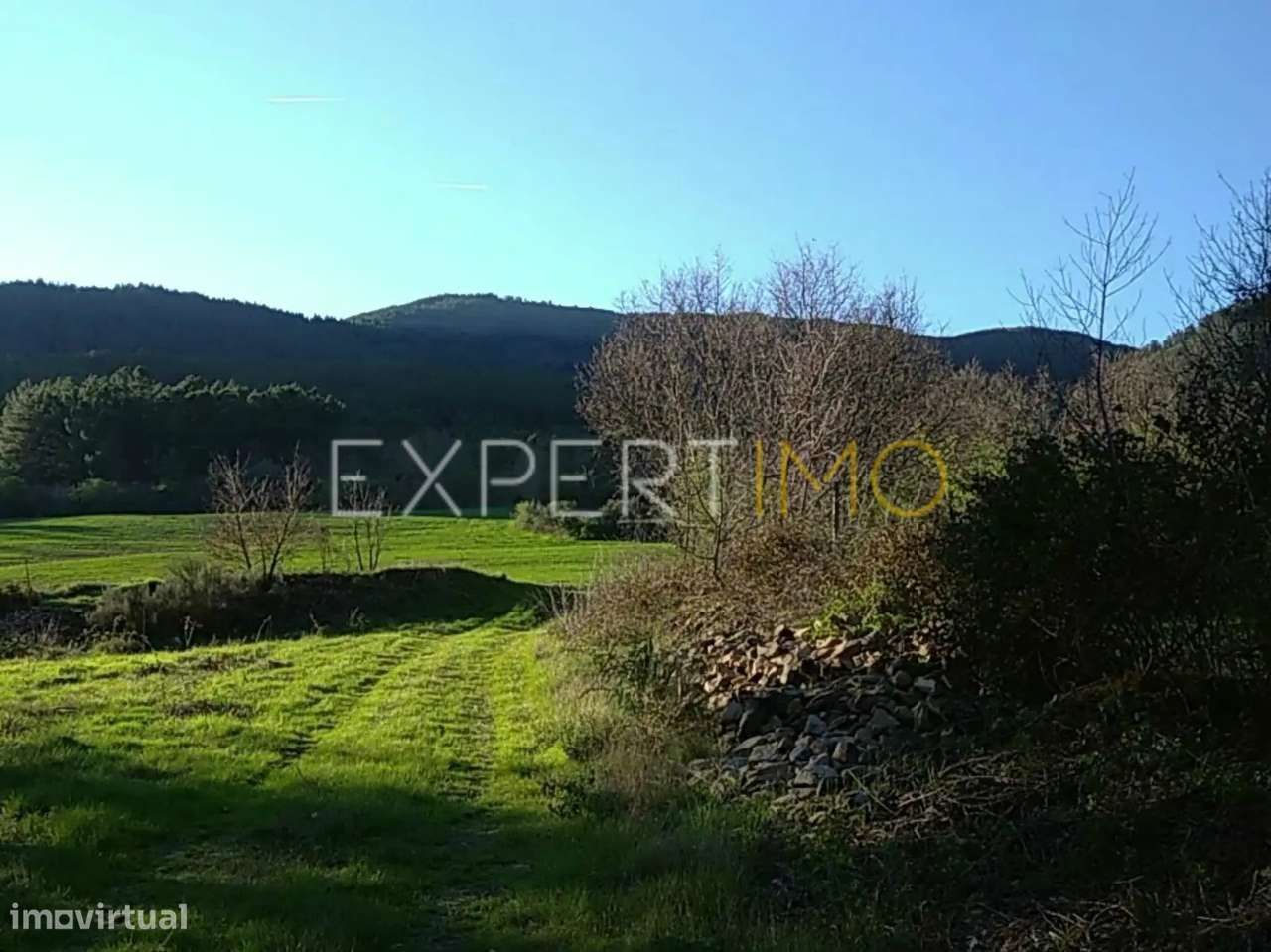 TERRENO AGRÍCOLA, plano, orografia regular, abundância de água... - Grande imagem: 4/30