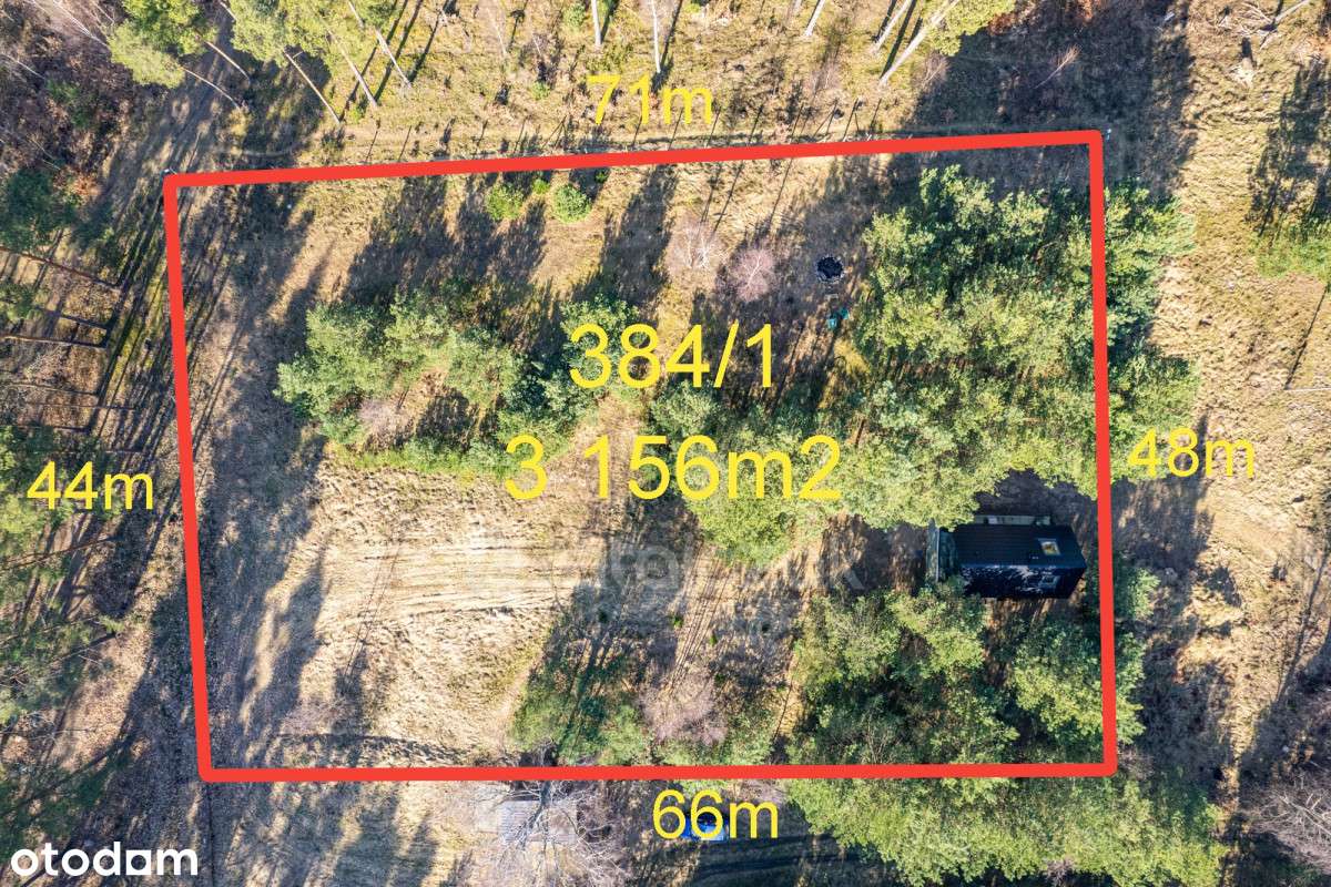 Domek Całoroczny | Sasino | Duża Działka Pod Lasem - Pełny obrazek: 4/20