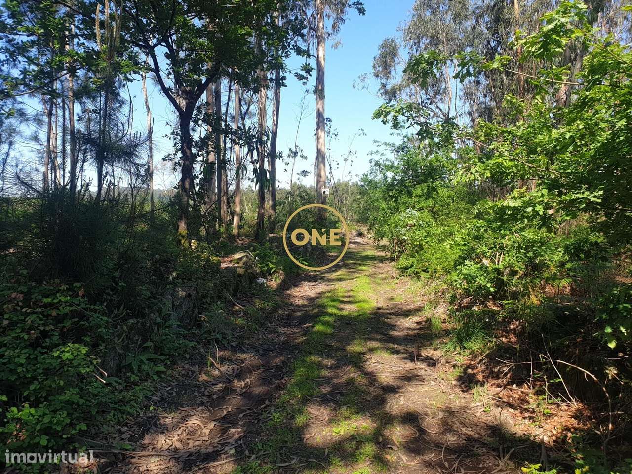 Terreno Rústico para Venda em Silveiros, Barcelos - Grande imagem: 4/7