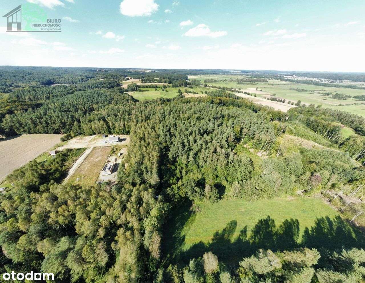 Duża działka siedliskowa 4600 m2 Strzebielino Wyb.-11