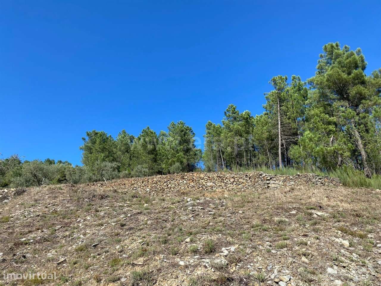 Quintinha / Fundão, Castelejo - Grande imagem: 5/12