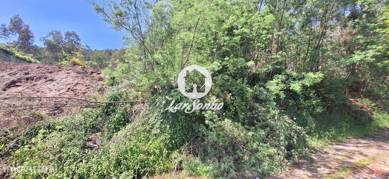 Terreno para moradia em Barcelos - Grande imagem: 4/25