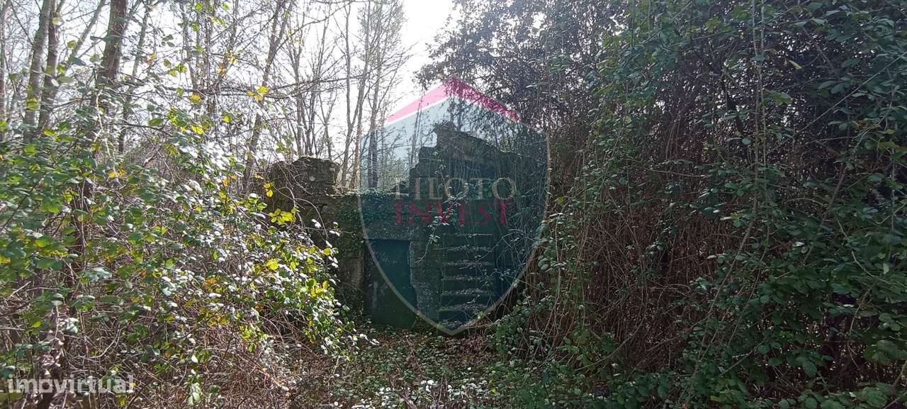 Quinta  Venda em Silgueiros,Viseu - Grande imagem: 5/19