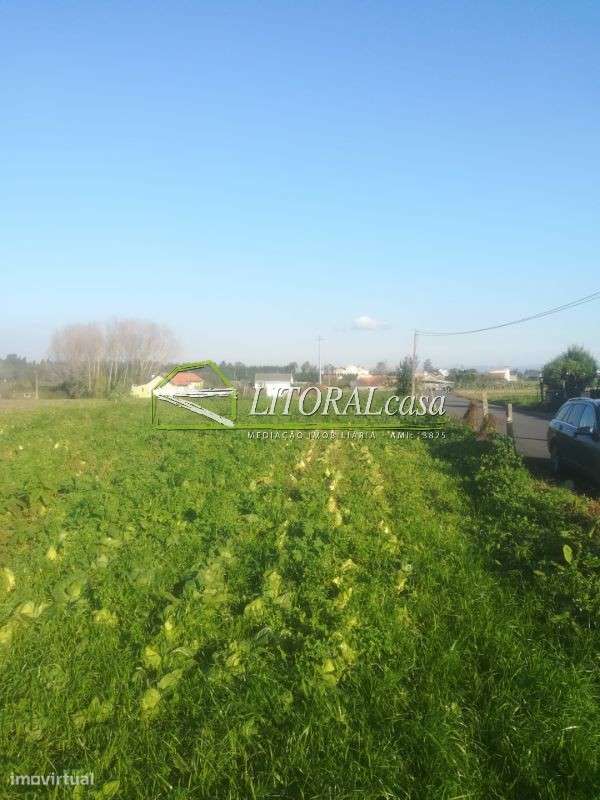 Terreno para duas Moradias - Grande imagem: 4/8