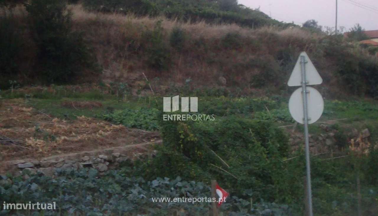 Venda Terreno, Santa Marinha do Zêzere, Baião - Grande imagem: 4/8