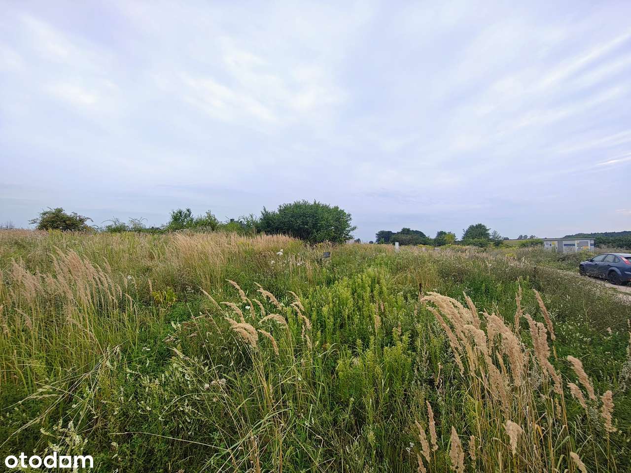 ⭐ Działka 942 m² – Poniec – spokój, przestrzeń i gotowość do budowy ⭐ - Pełny obrazek: 3/5