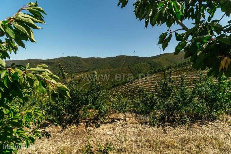 Quinta Estúdio / Fundão, Castelejo - Grande imagem: 5/20