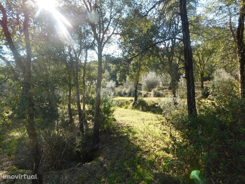 Terreno / Fundão, Telhado