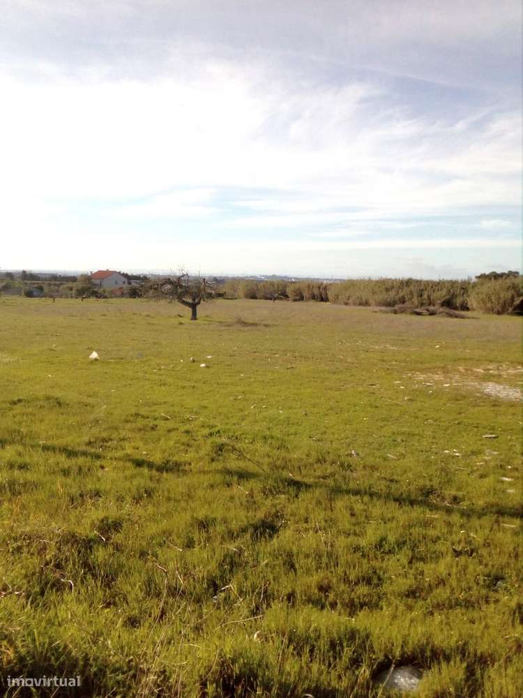 Palmela/ Cabanas Terreno com 1,5 Ha para construção de moradias. - Grande imagem: 4/8
