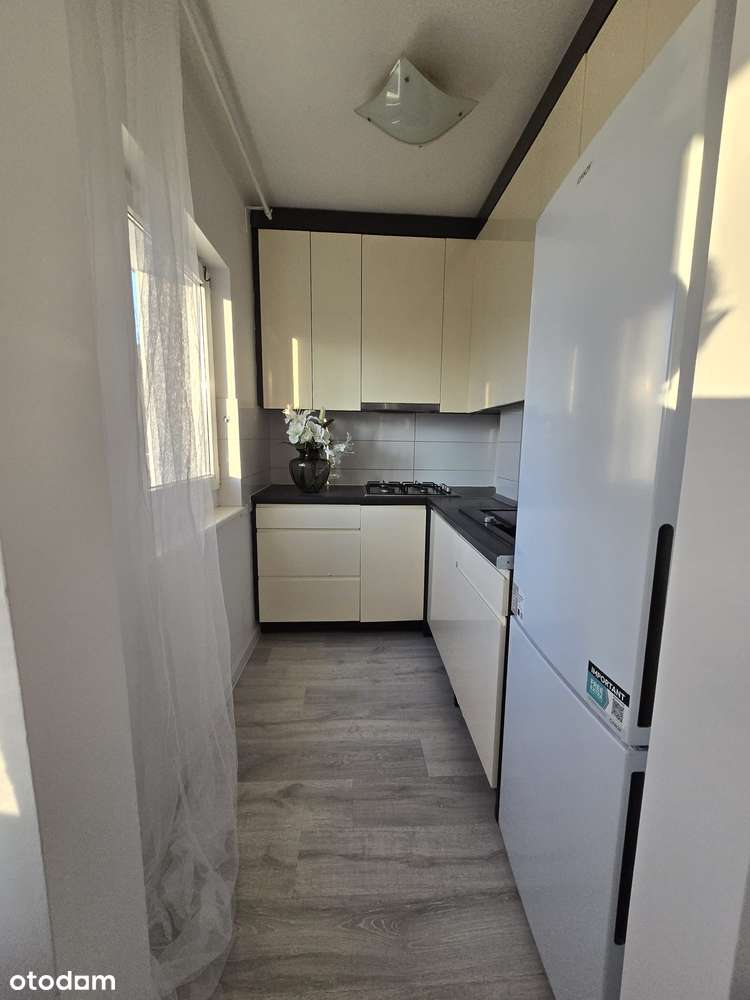 Urokliwe 2-pok na 1 piętrze GRUNWALD z balkonem-5